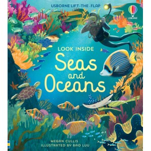 Look Inside Seas and Oceans 