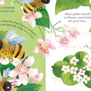 Peep Inside a  Beehive