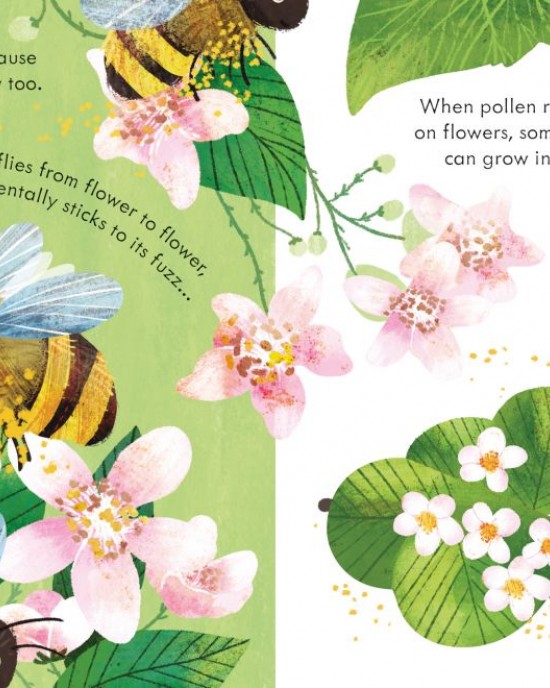 Peep Inside a  Beehive