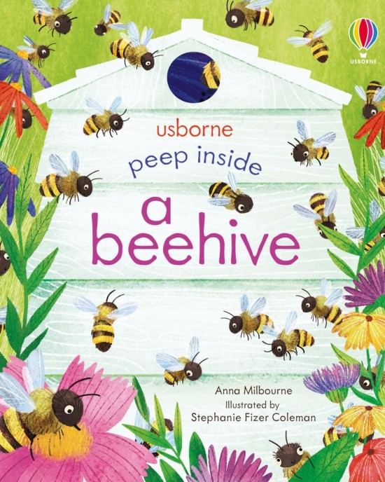 Peep Inside a  Beehive