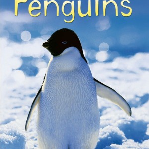 Penguins