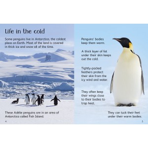 Penguins
