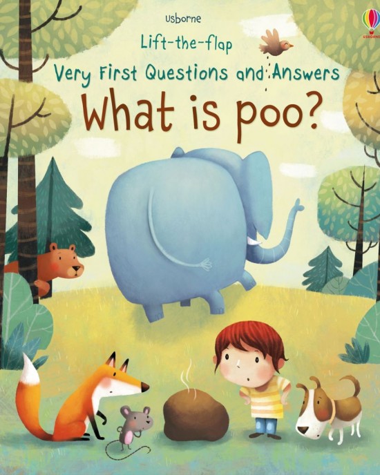 What is poo?