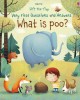 What is poo?